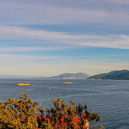 Seaside House Prigradica, Korcula - 21988 Holiday home Blato (Korcula)