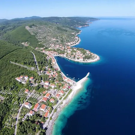 Seaside House Prigradica, Korcula - 21988 Holiday home *